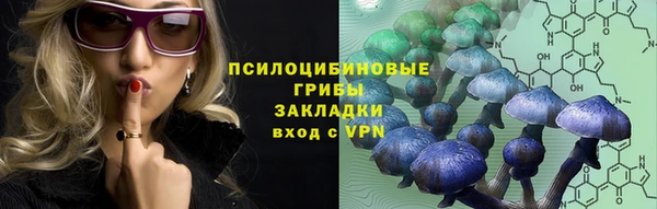 ALPHA PVP Каменка