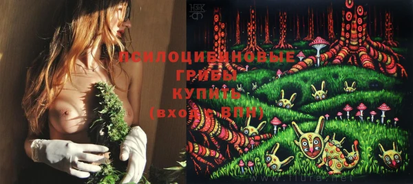 скорость Арсеньев