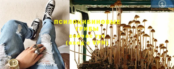 скорость Арсеньев