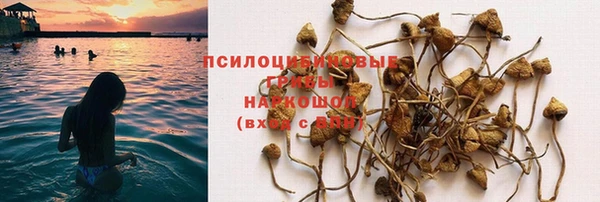 прущий лед Аркадак