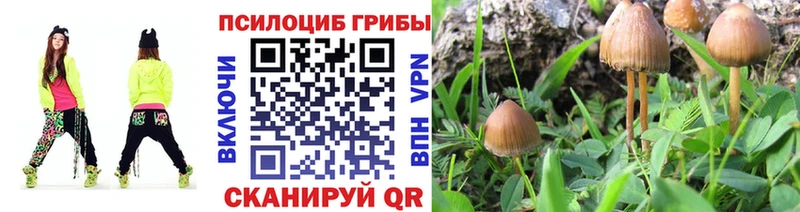 ОМГ ОМГ ТОР  Лянтор  Псилоцибиновые грибы Cubensis  наркошоп 