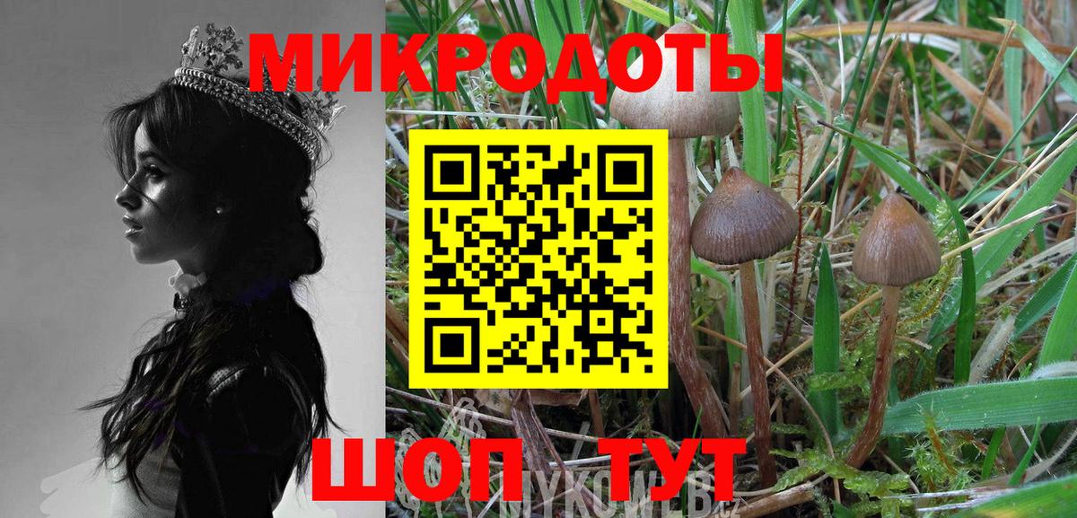 Галлюциногенные грибы Psilocybine cubensis  Псилоцибиновые грибы прущие грибы  Лянтор  Вход с VPN 