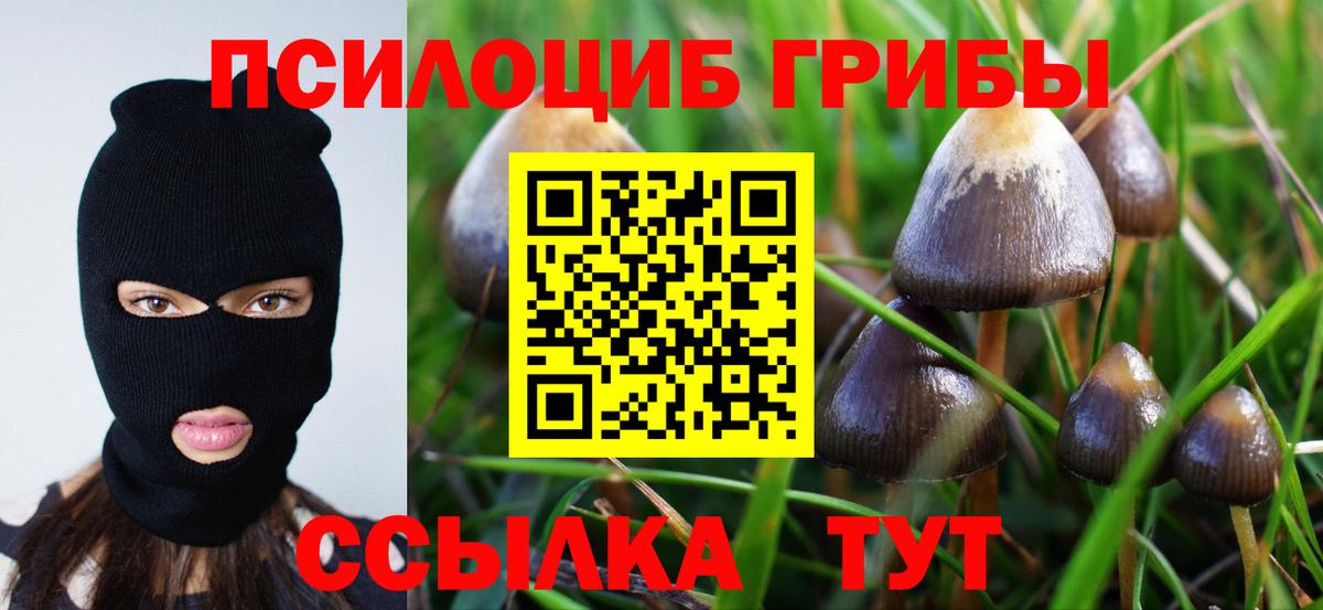 Псилоцибиновые грибы мухоморы Лянтор